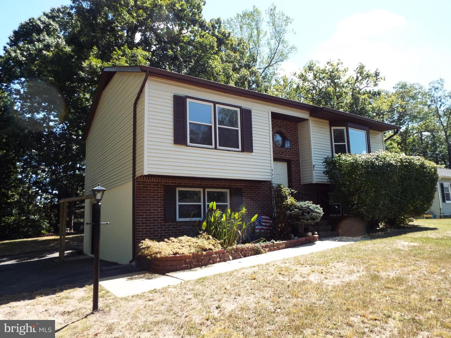 447 Albany Street photo 1