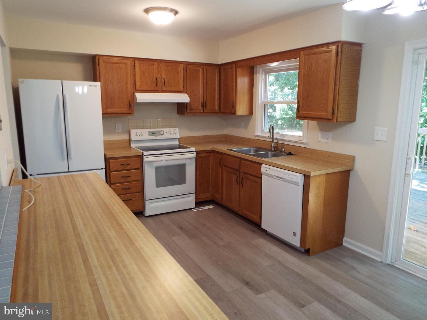 447 Albany Street photo 13