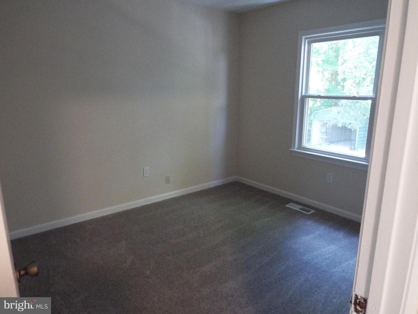 447 Albany Street photo 18