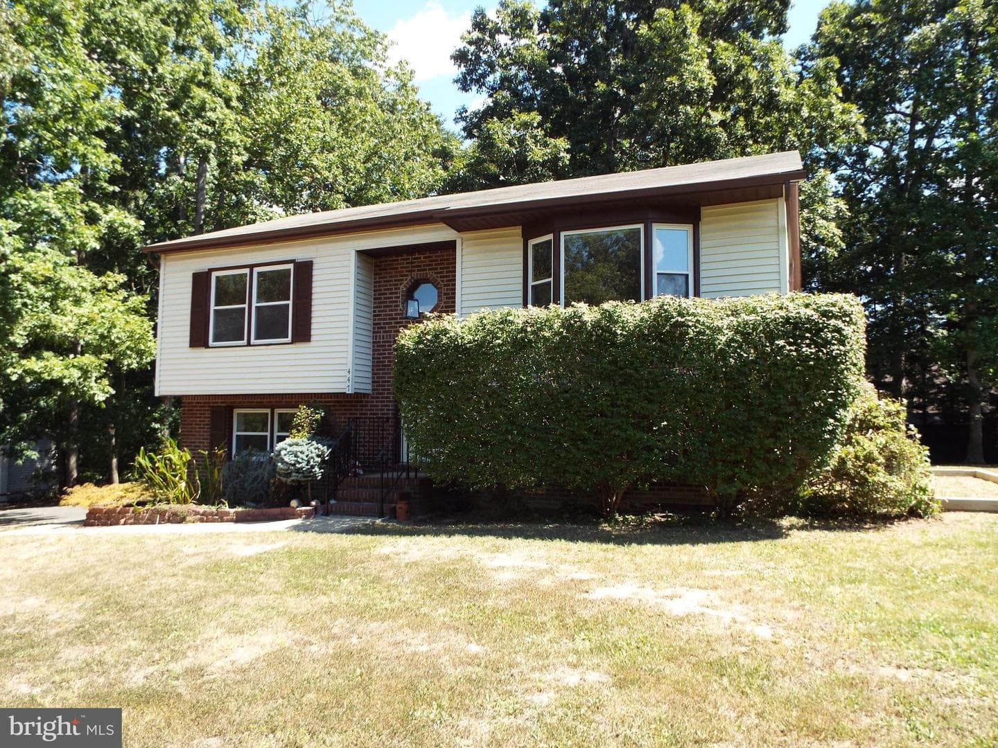447 Albany Street photo 2