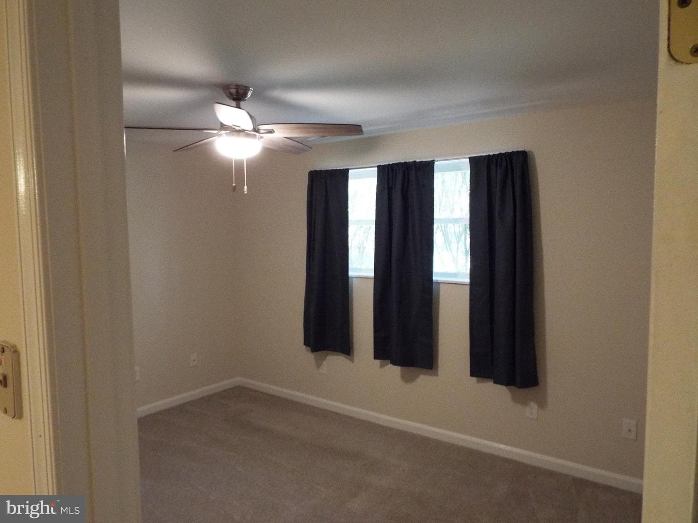 447 Albany Street photo 29