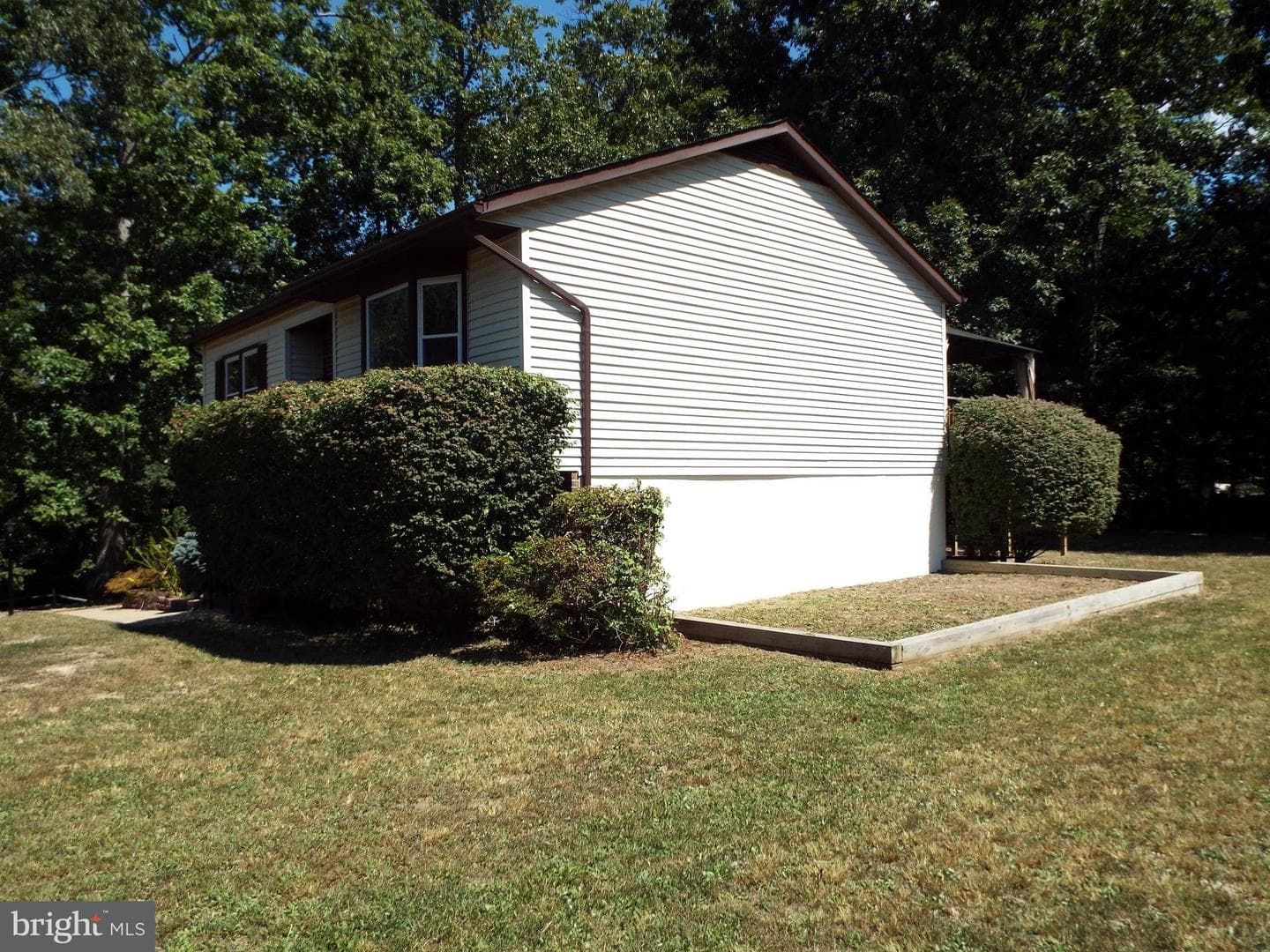 447 Albany Street photo 3