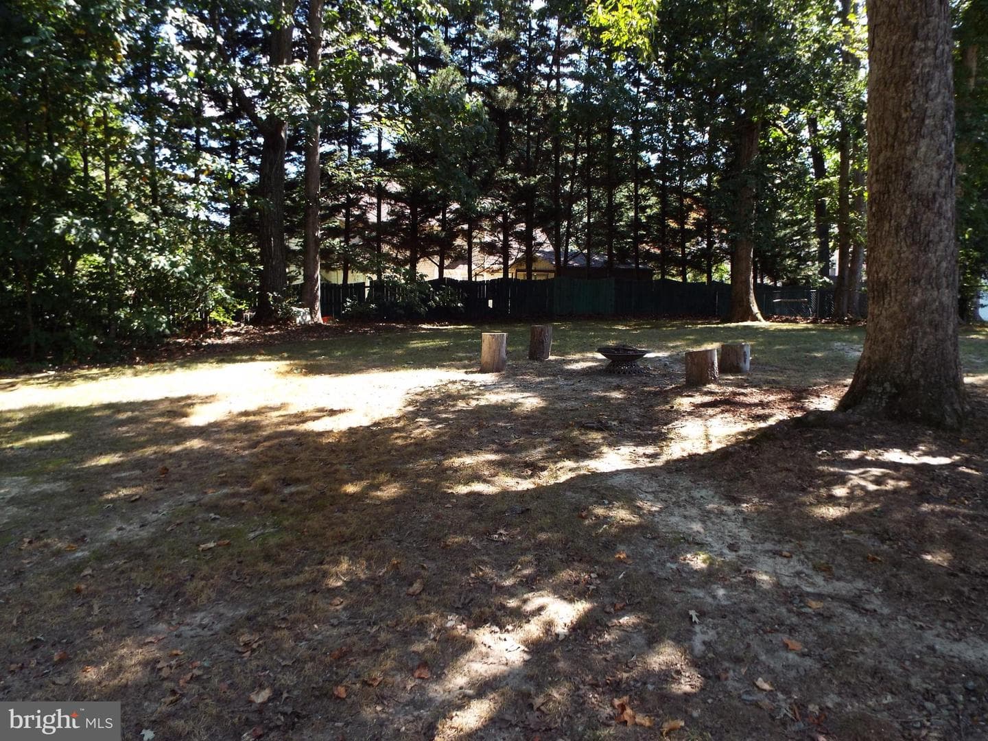 447 Albany Street photo 4