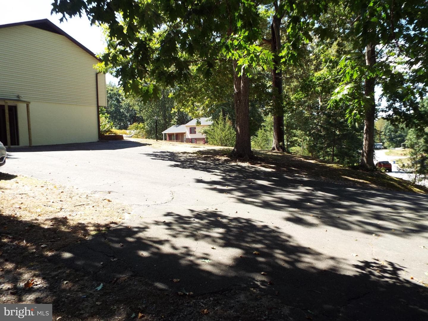 447 Albany Street photo 7