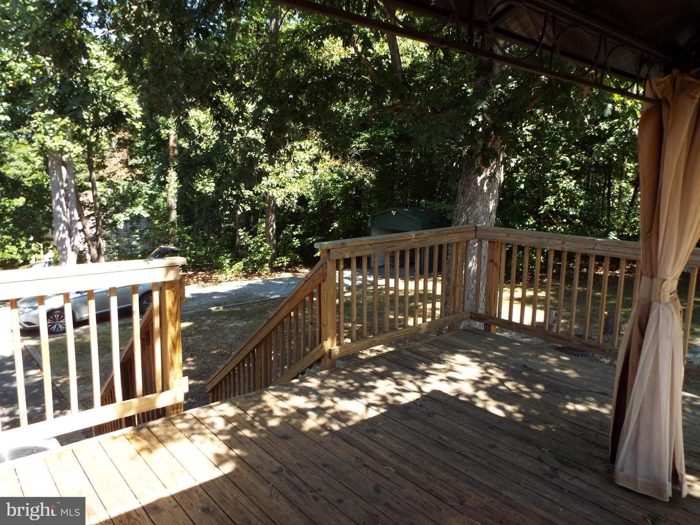 447 Albany Street photo 8
