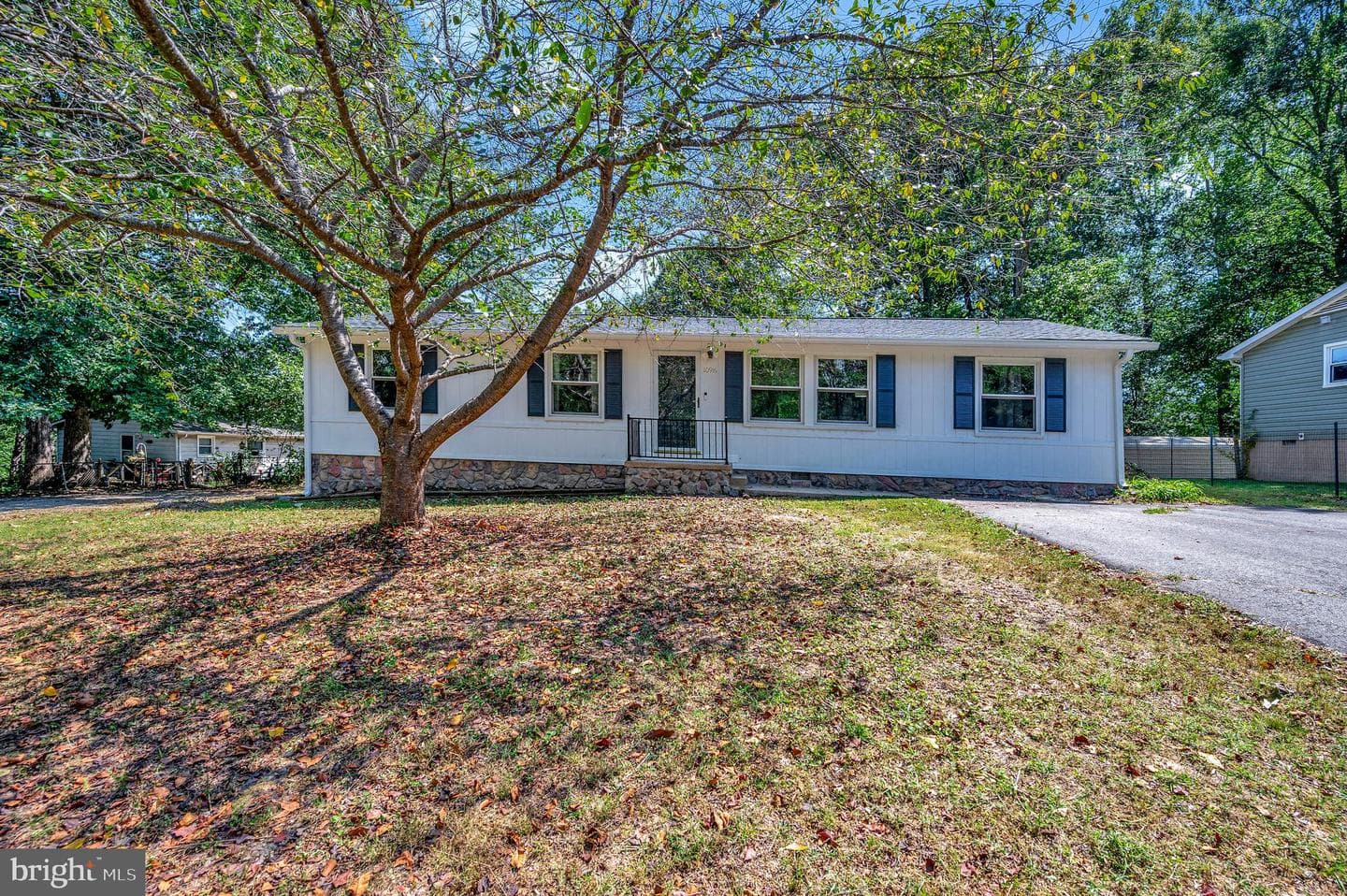 10916 Deer Drive photo 3