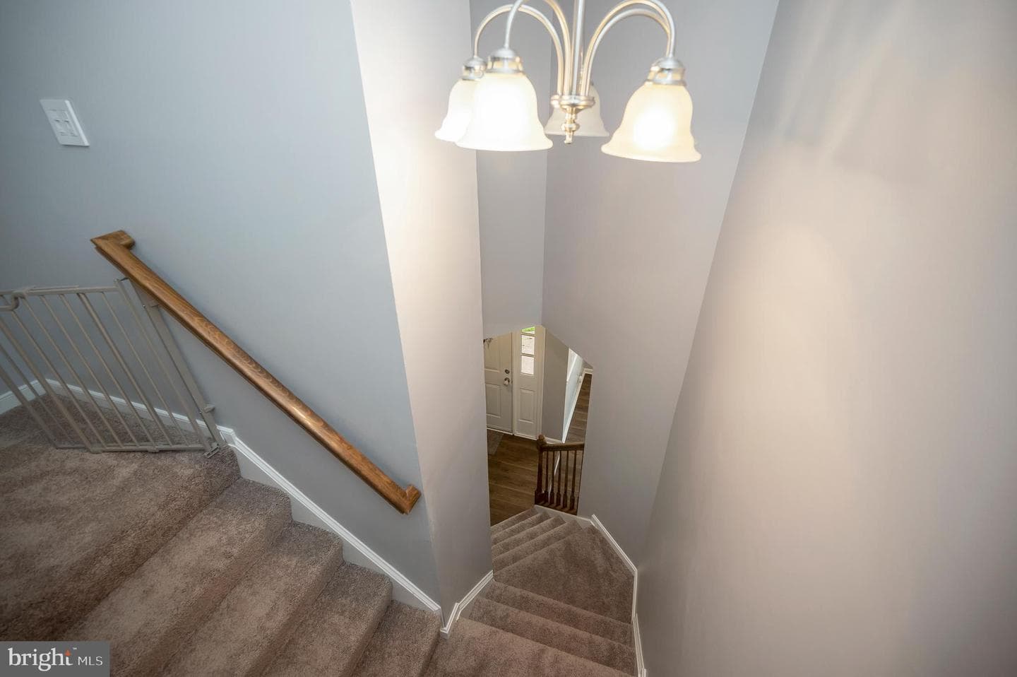 5109 Brookshire Court W photo 39