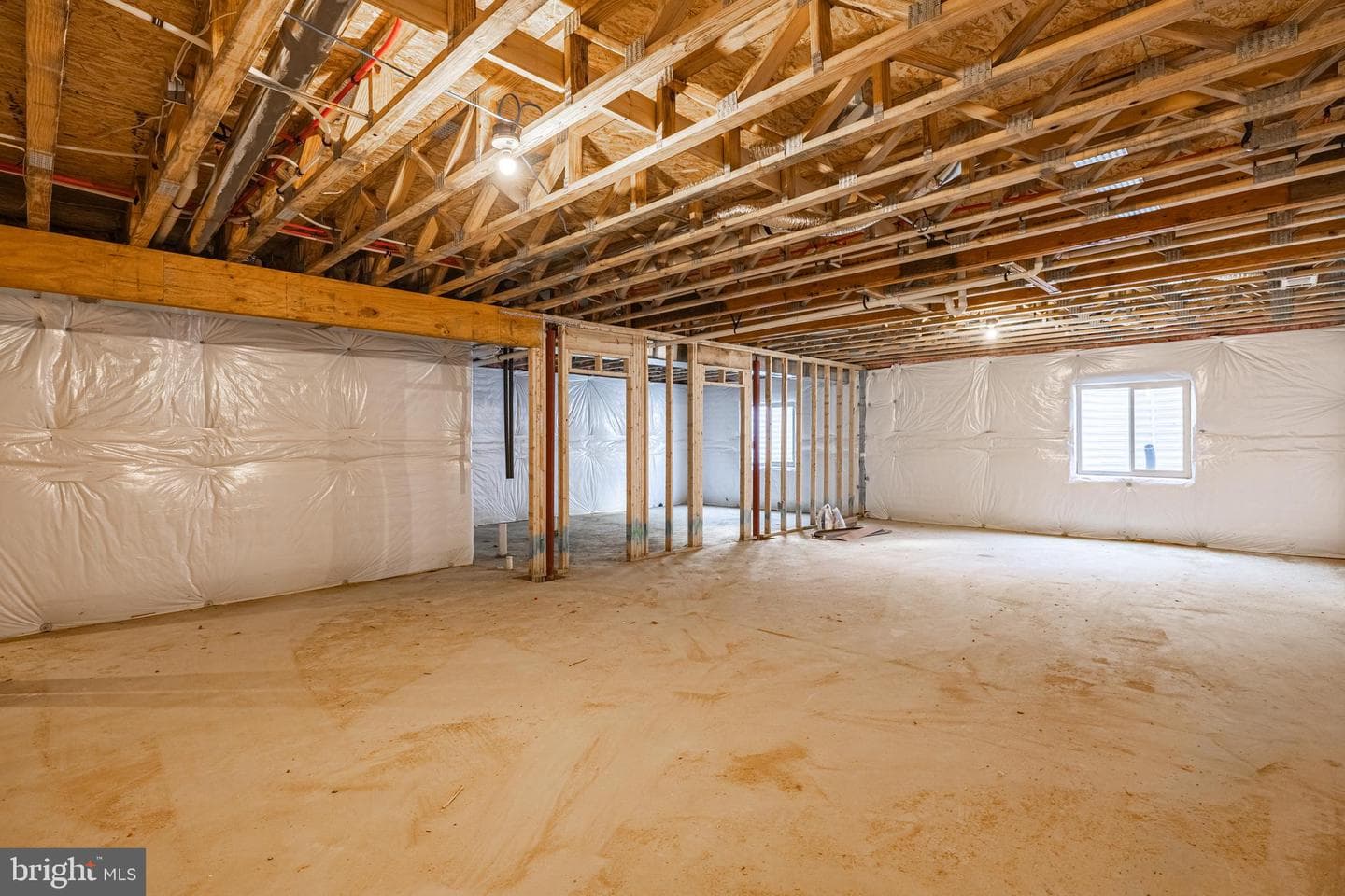 12404 Ruby Red Drive photo 33