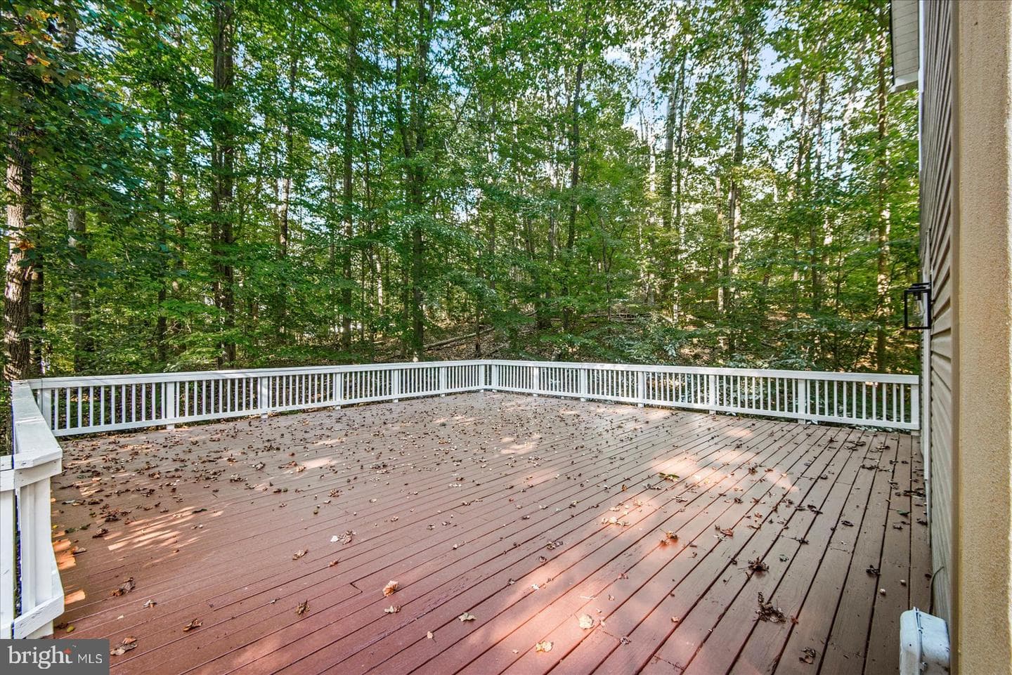 15507 Heth Drive photo 43
