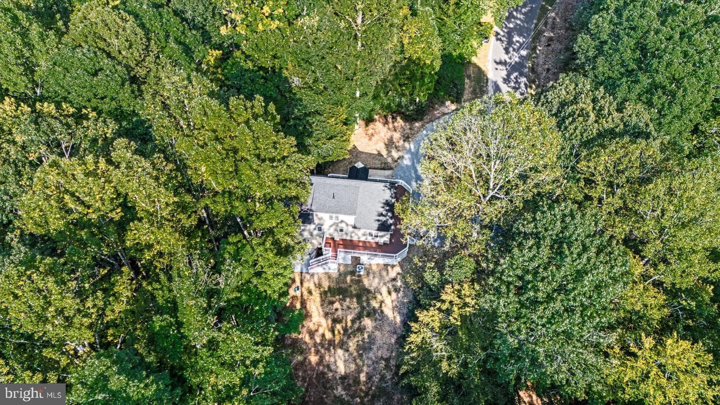 15507 Heth Drive photo 53