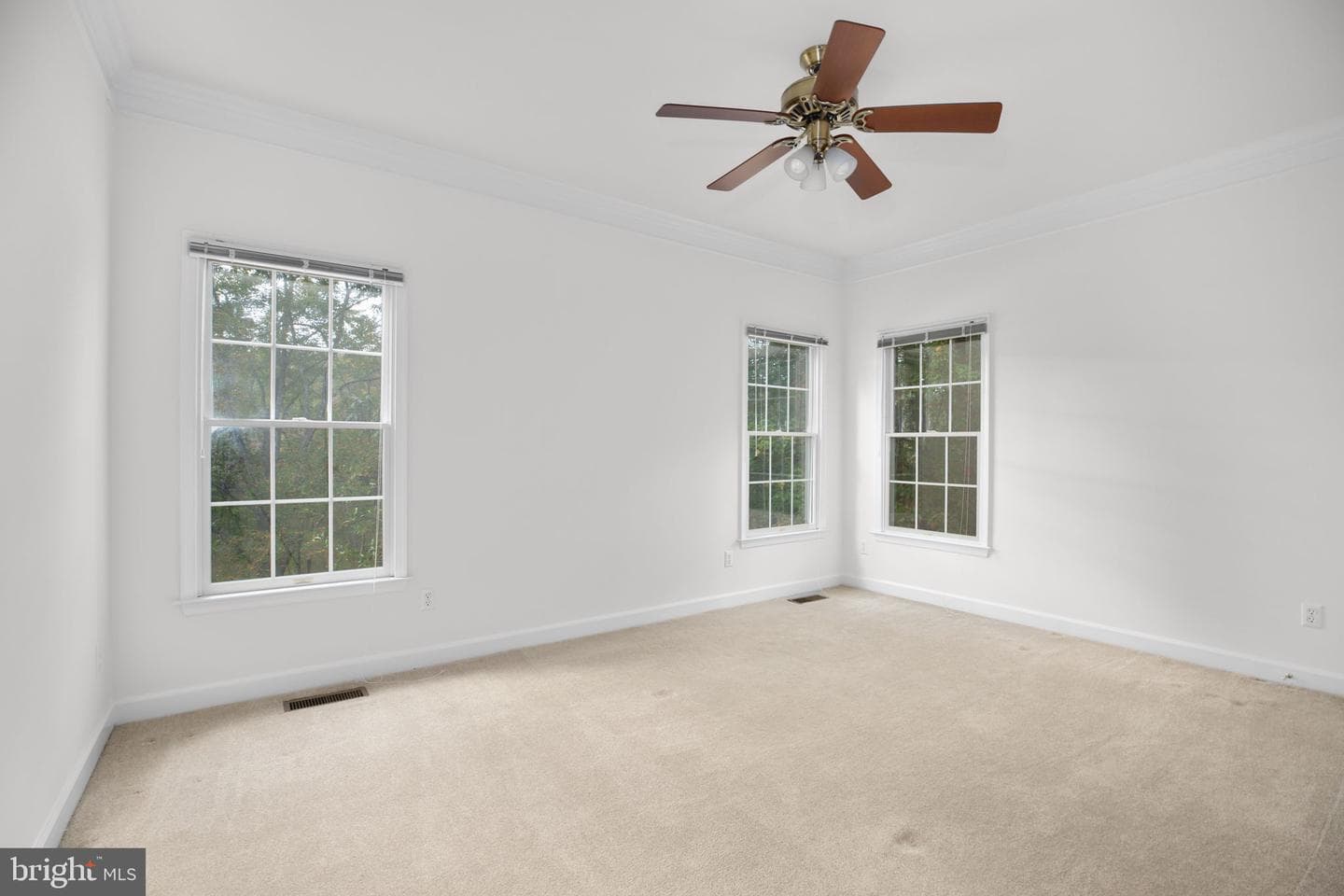 12805 Lake Wilderness Lane photo 35