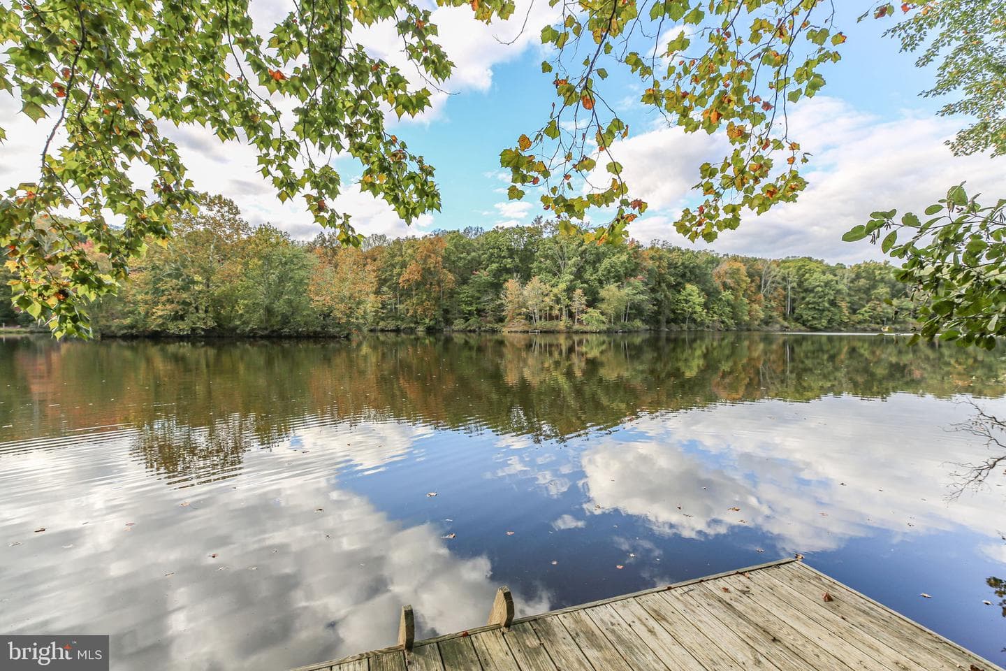 12805 Lake Wilderness Lane photo 5