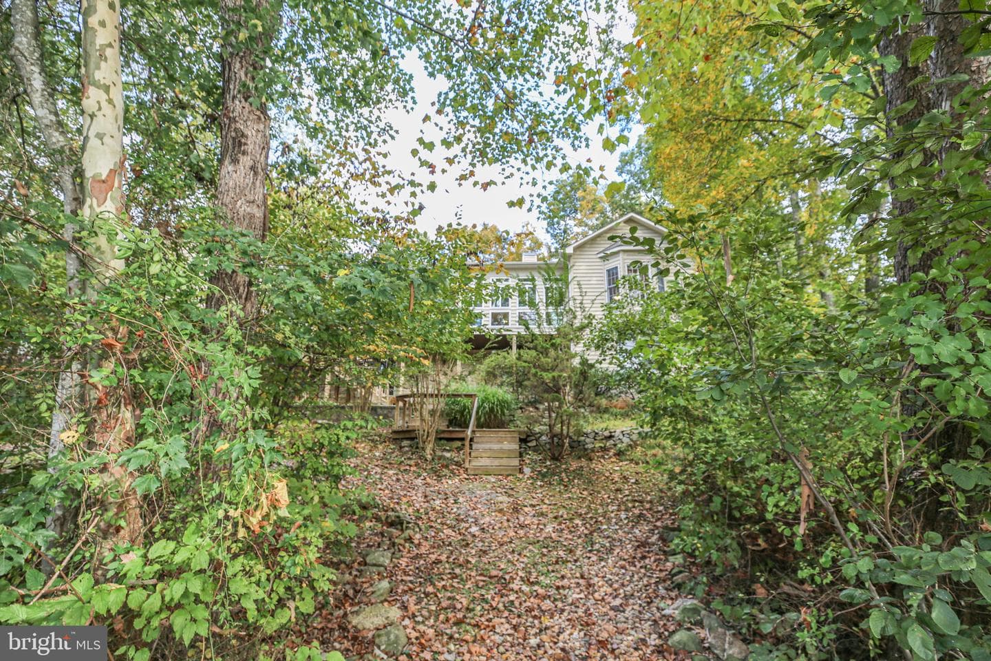 12805 Lake Wilderness Lane photo 58