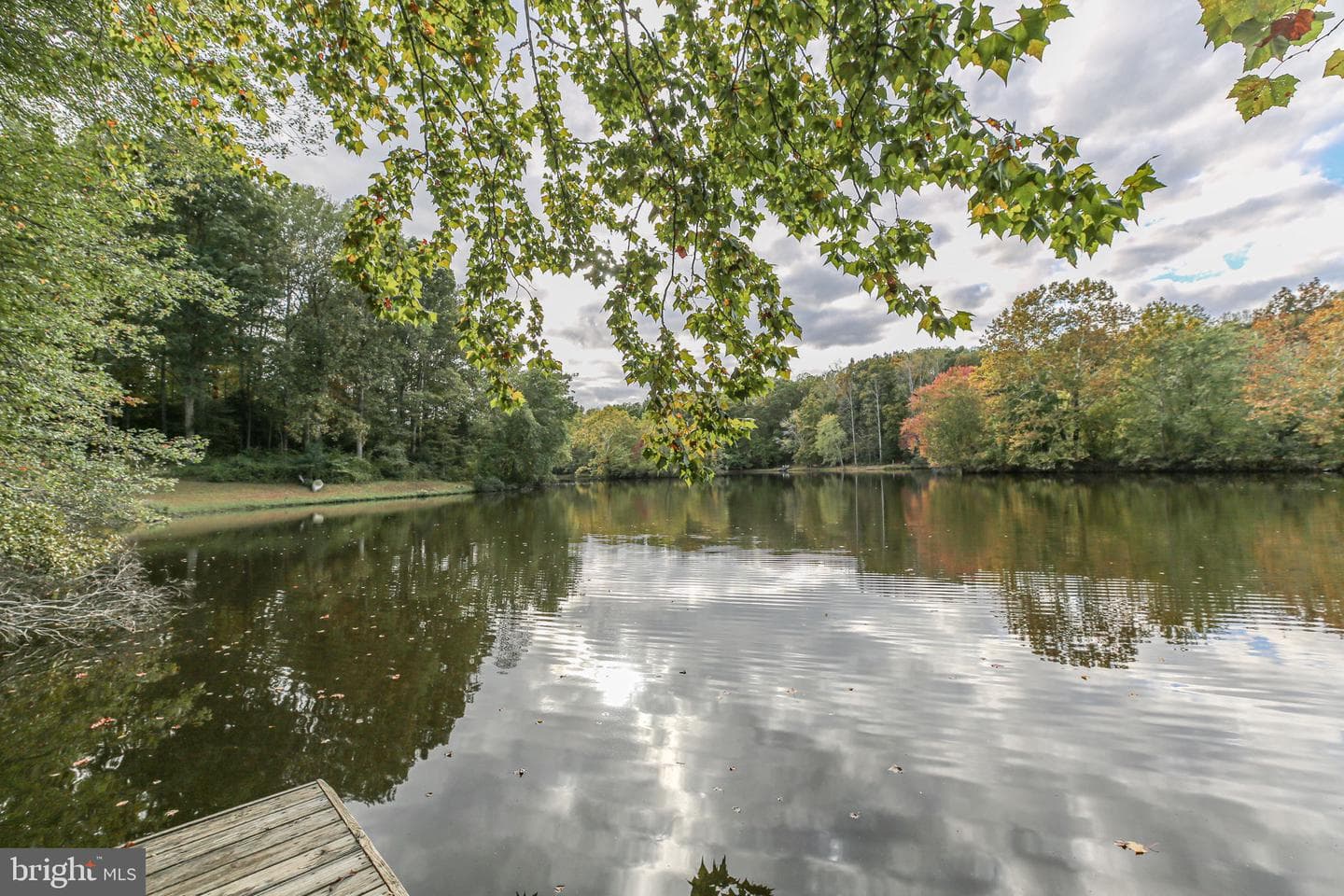 12805 Lake Wilderness Lane photo 6