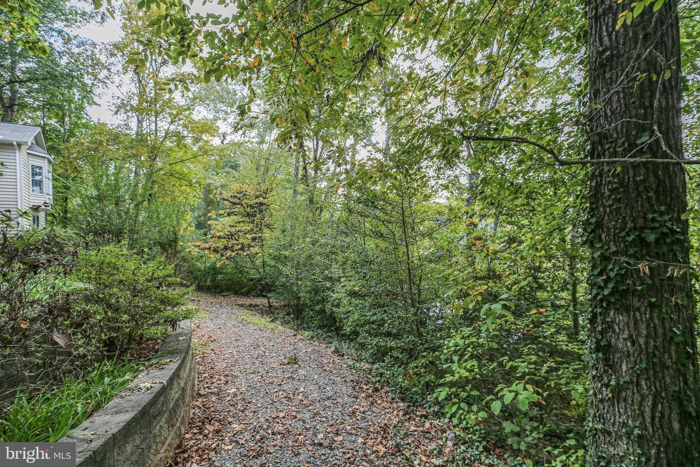 12805 Lake Wilderness Lane photo 60