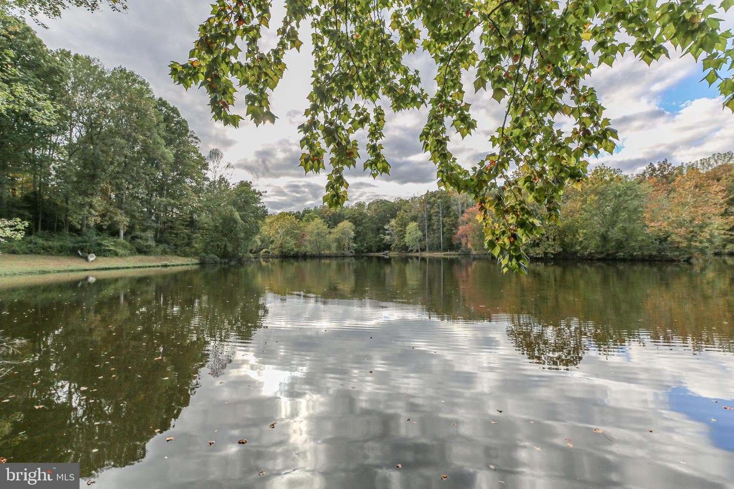 12805 Lake Wilderness Lane photo 62