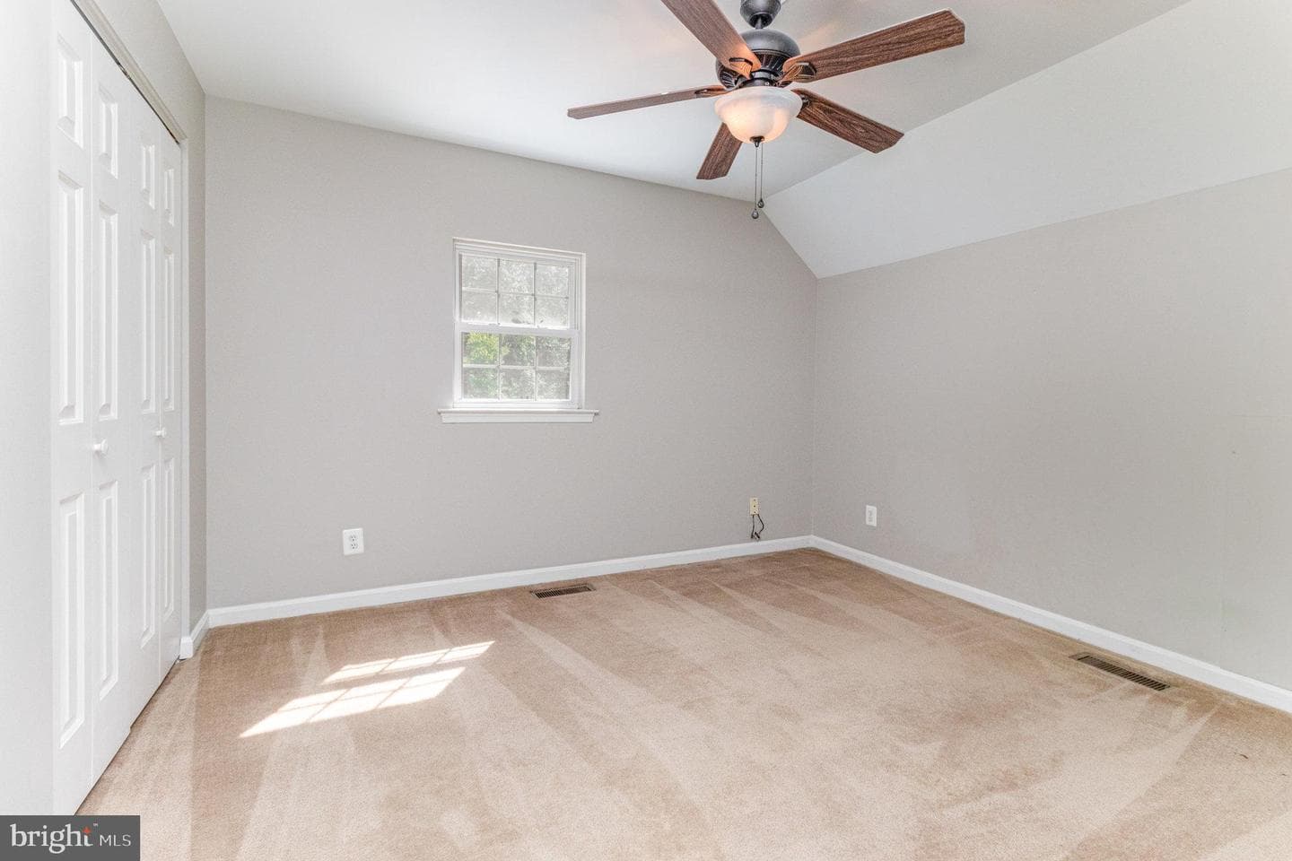 11308 Springfield Drive photo 22
