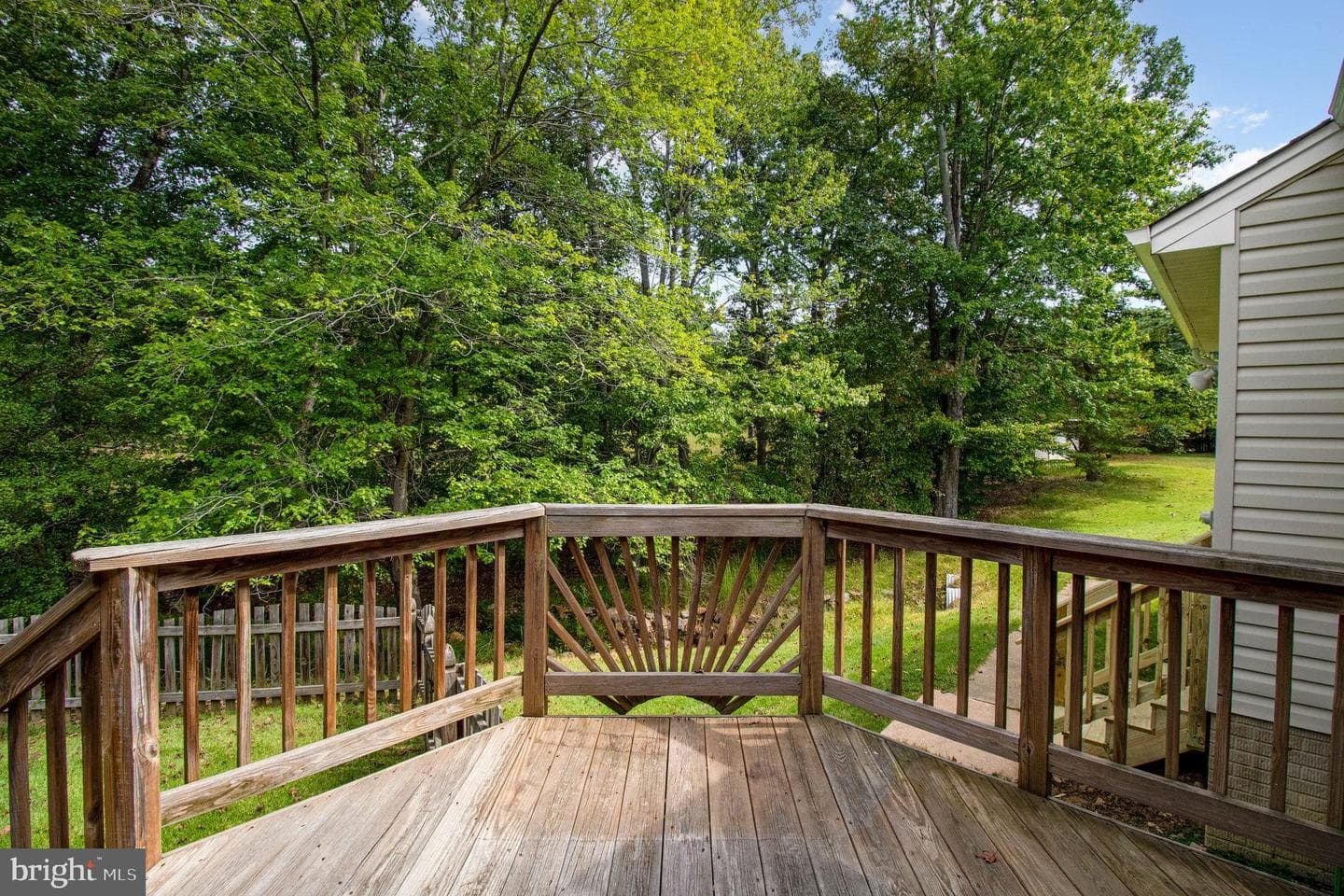 11308 Springfield Drive photo 7