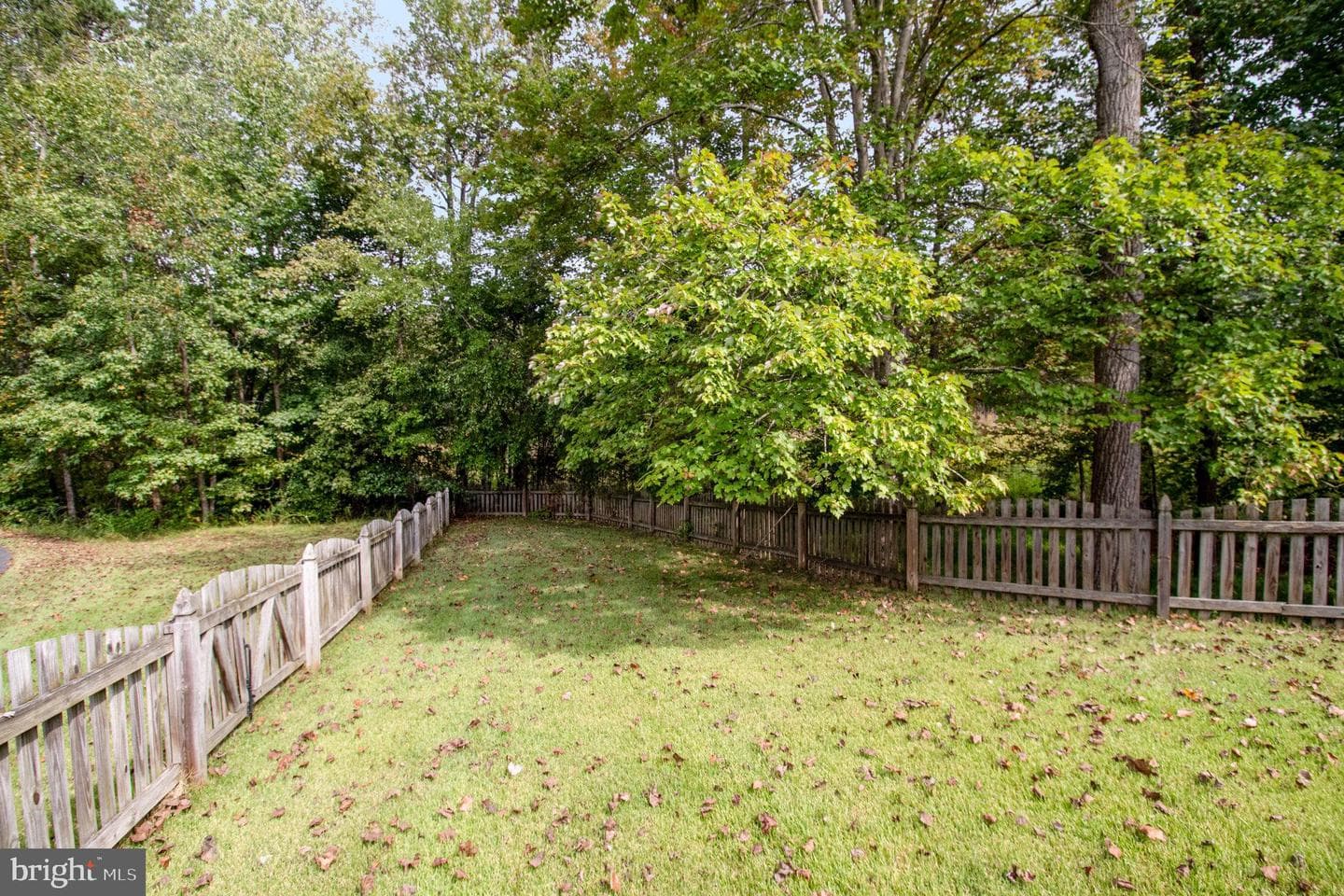 11308 Springfield Drive photo 8