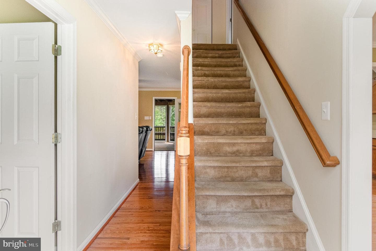 11308 Springfield Drive photo 9