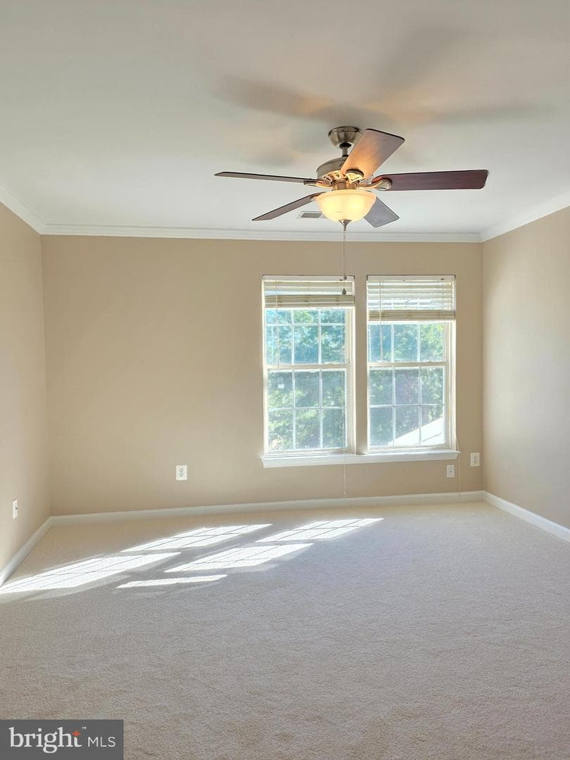 11139 Gander Court photo 19