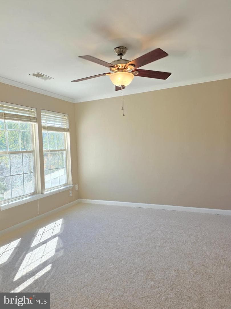 11139 Gander Court photo 20
