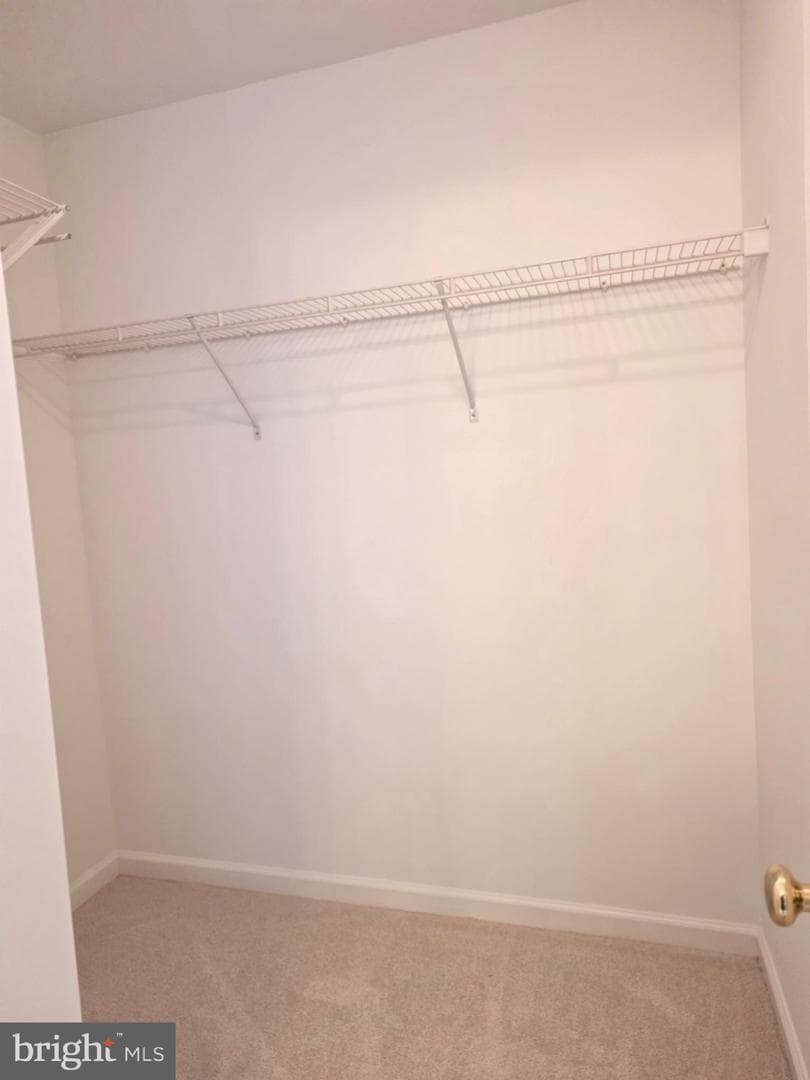 11139 Gander Court photo 23