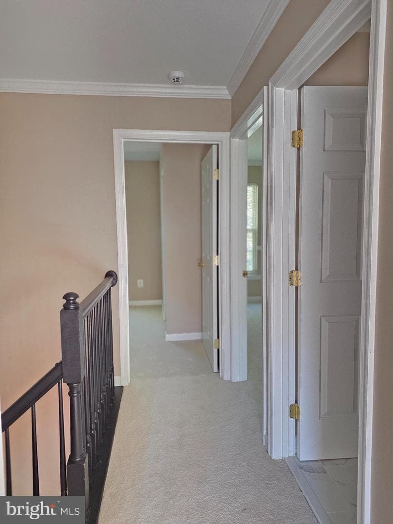 11139 Gander Court photo 24