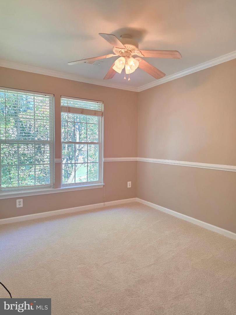 11139 Gander Court photo 28