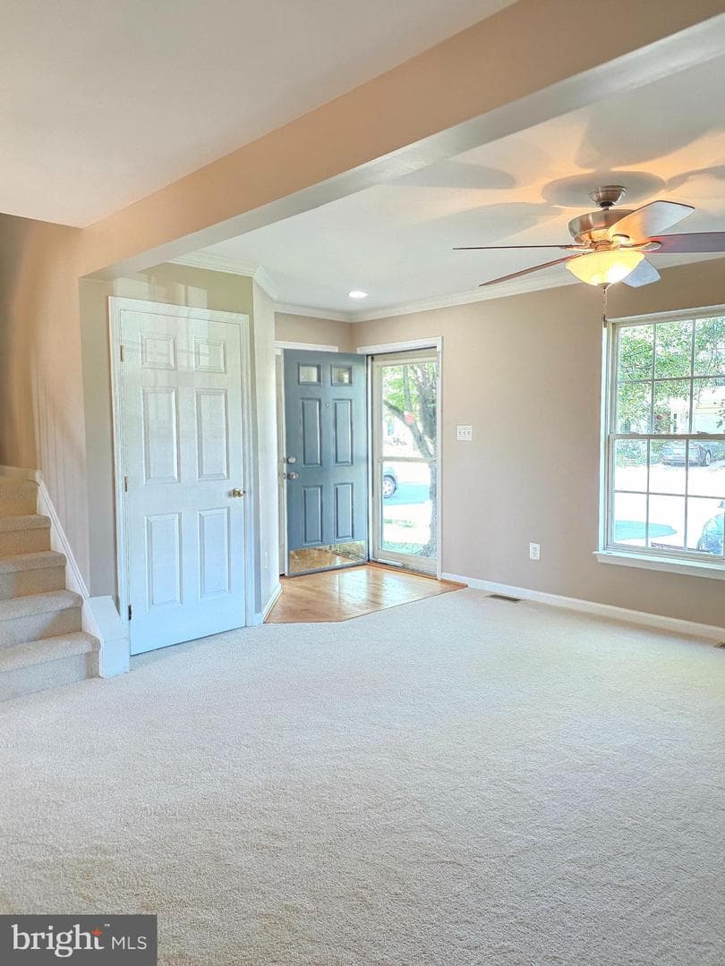 11139 Gander Court photo 8