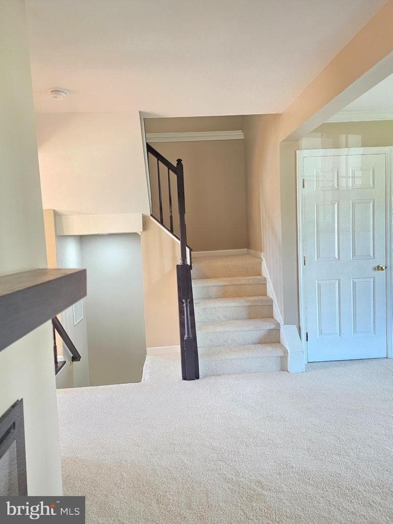 11139 Gander Court photo 9