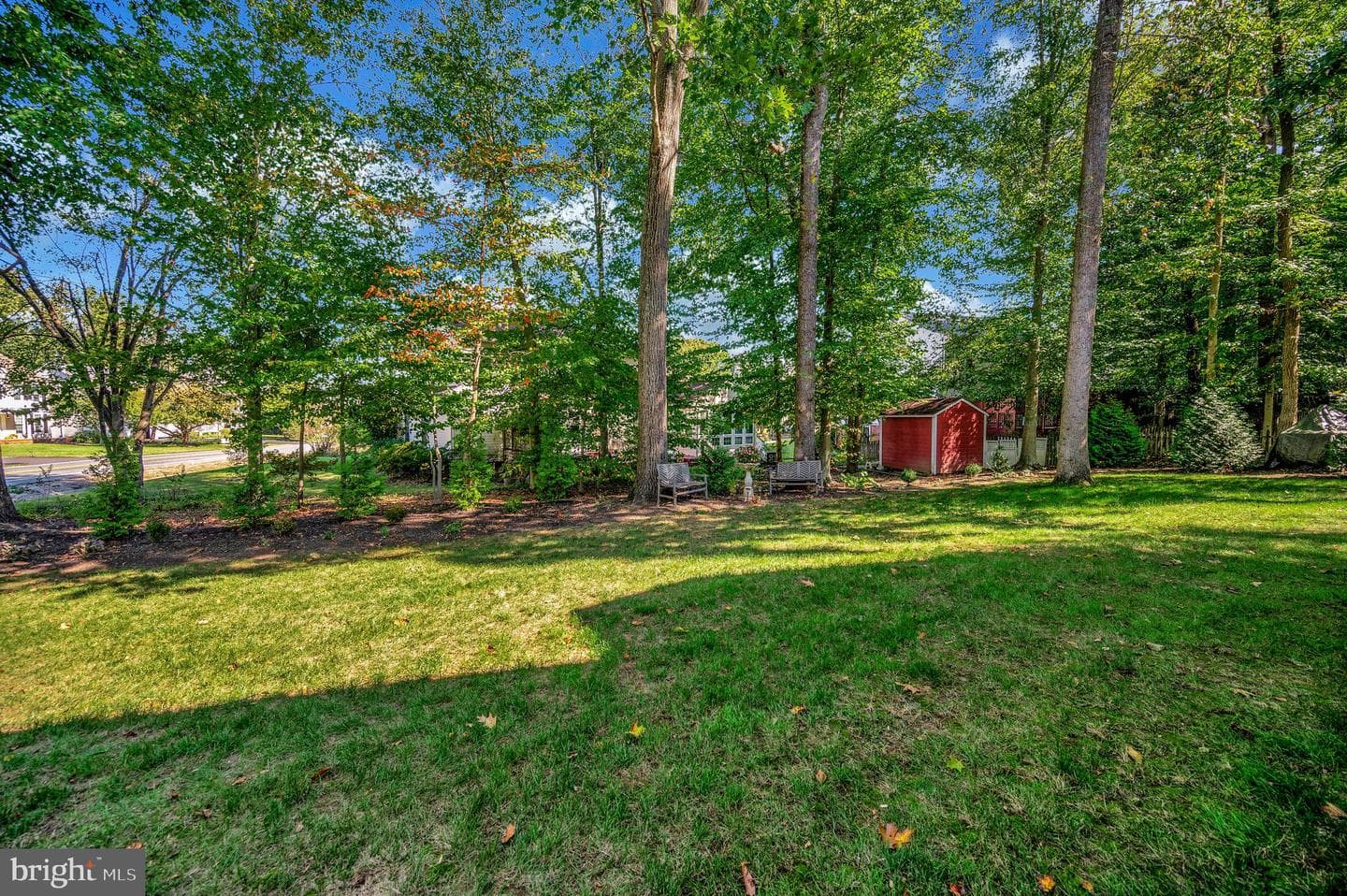 10219 Colechester Street photo 10