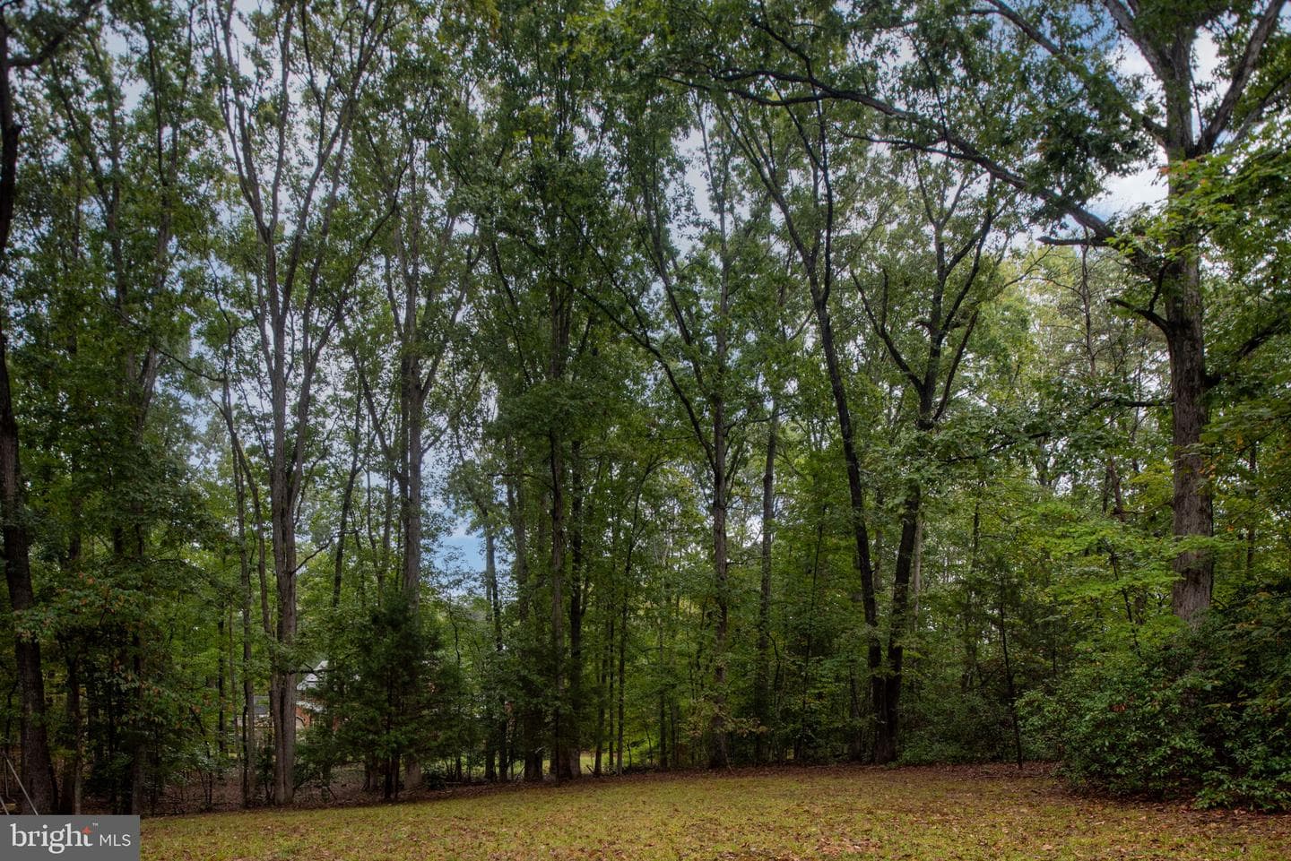 2 River Bluffs Drive photo 47