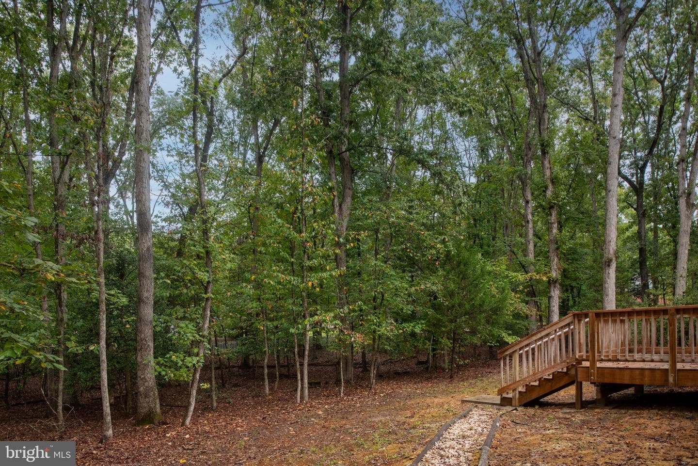 2 River Bluffs Drive photo 52
