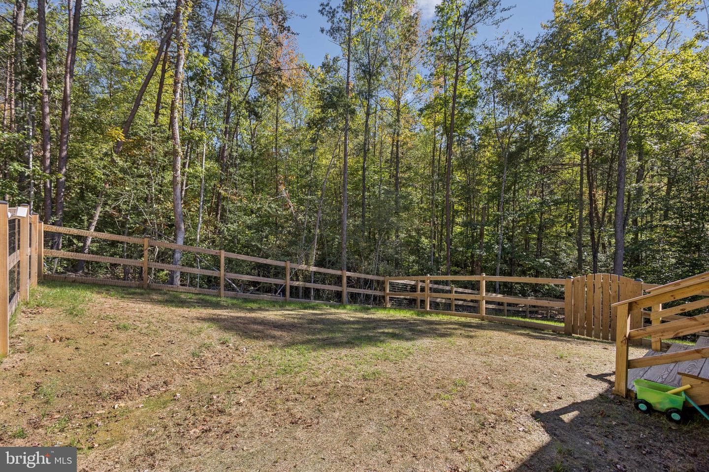 14819 Childs Cove Drive photo 34