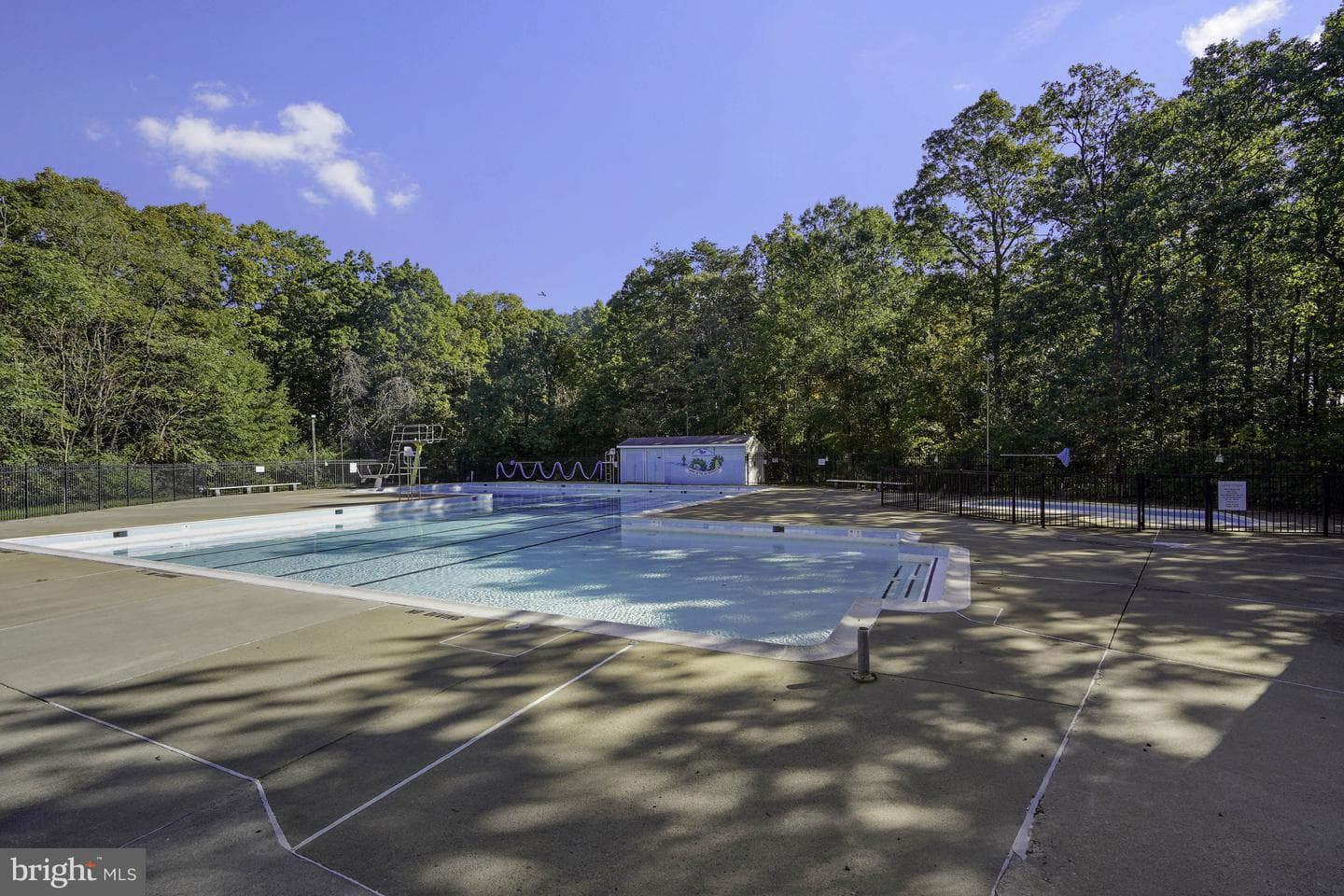 100 Lombardy Drive photo 67