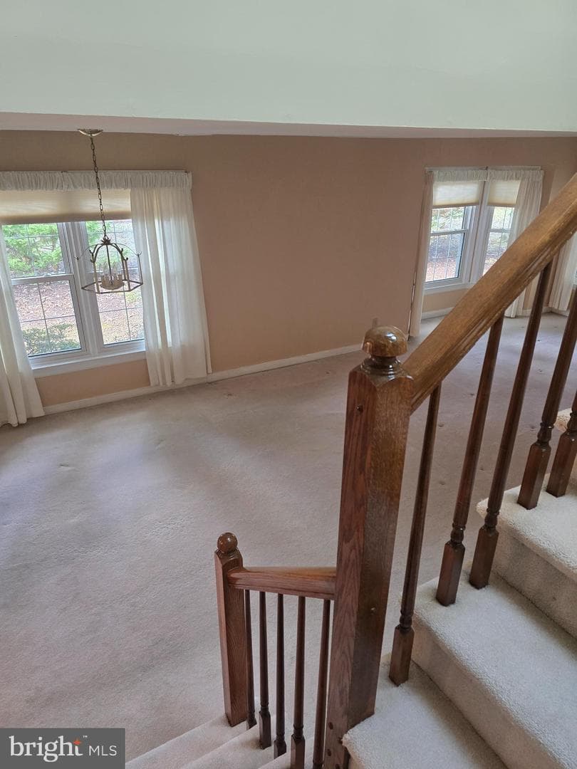 11606 Savannah Drive photo 16