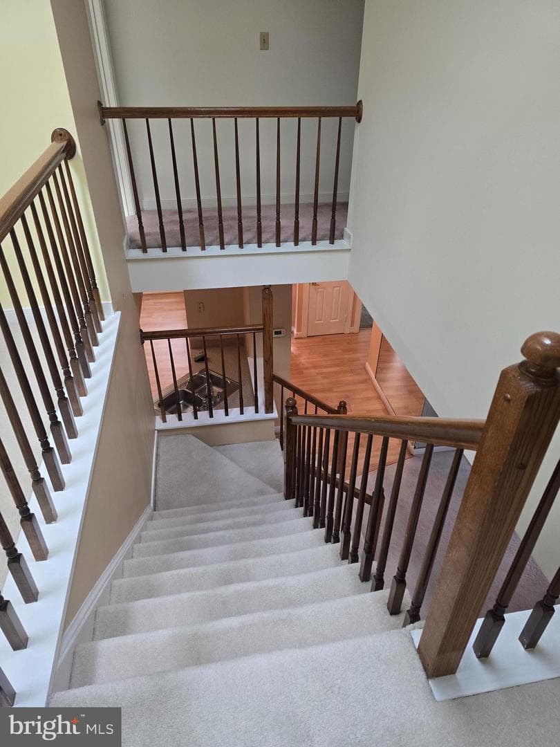 11606 Savannah Drive photo 21