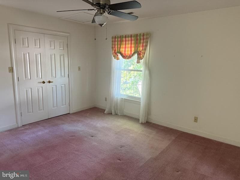 11606 Savannah Drive photo 23