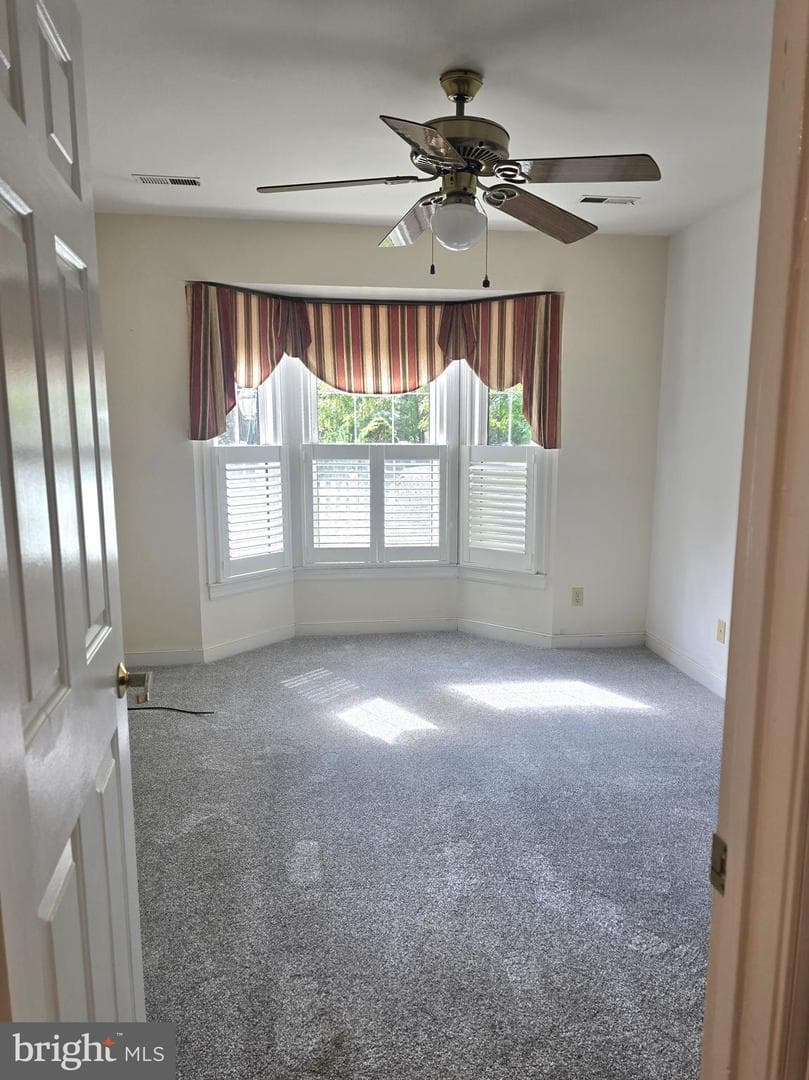 11606 Savannah Drive photo 8
