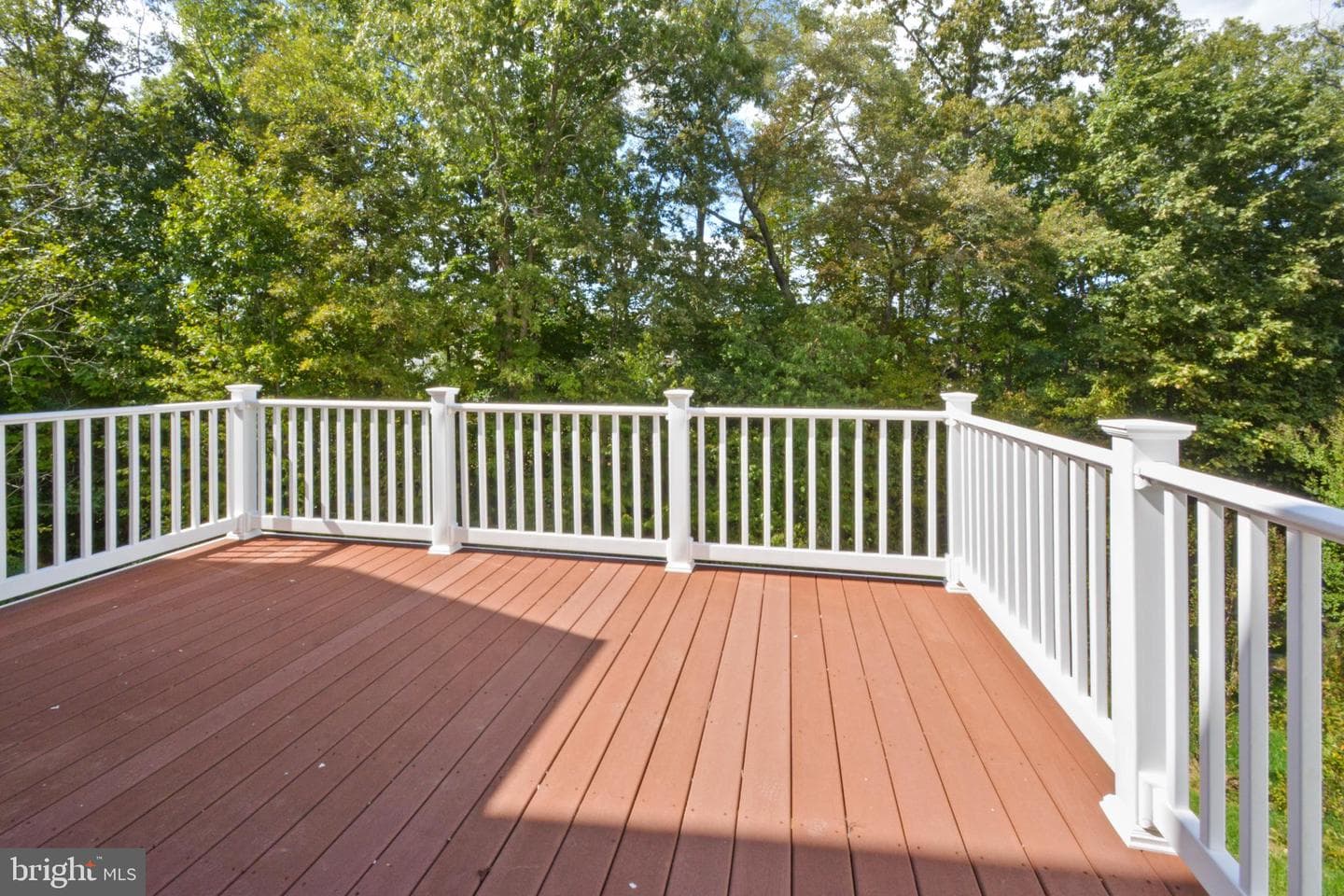 5607 Cedar Mountain Court photo 14