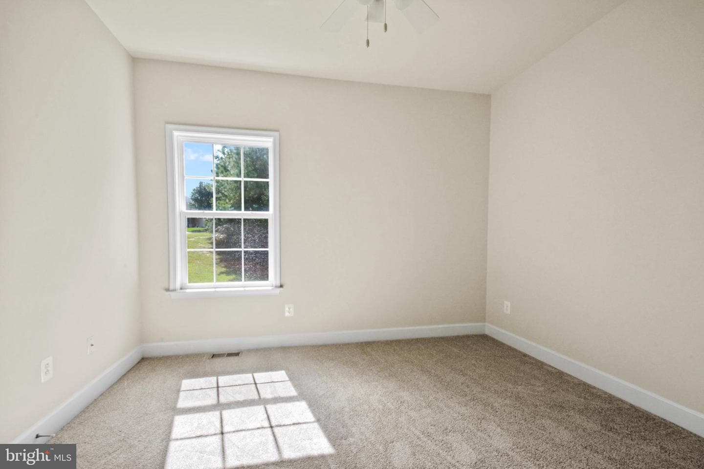 5607 Cedar Mountain Court photo 20