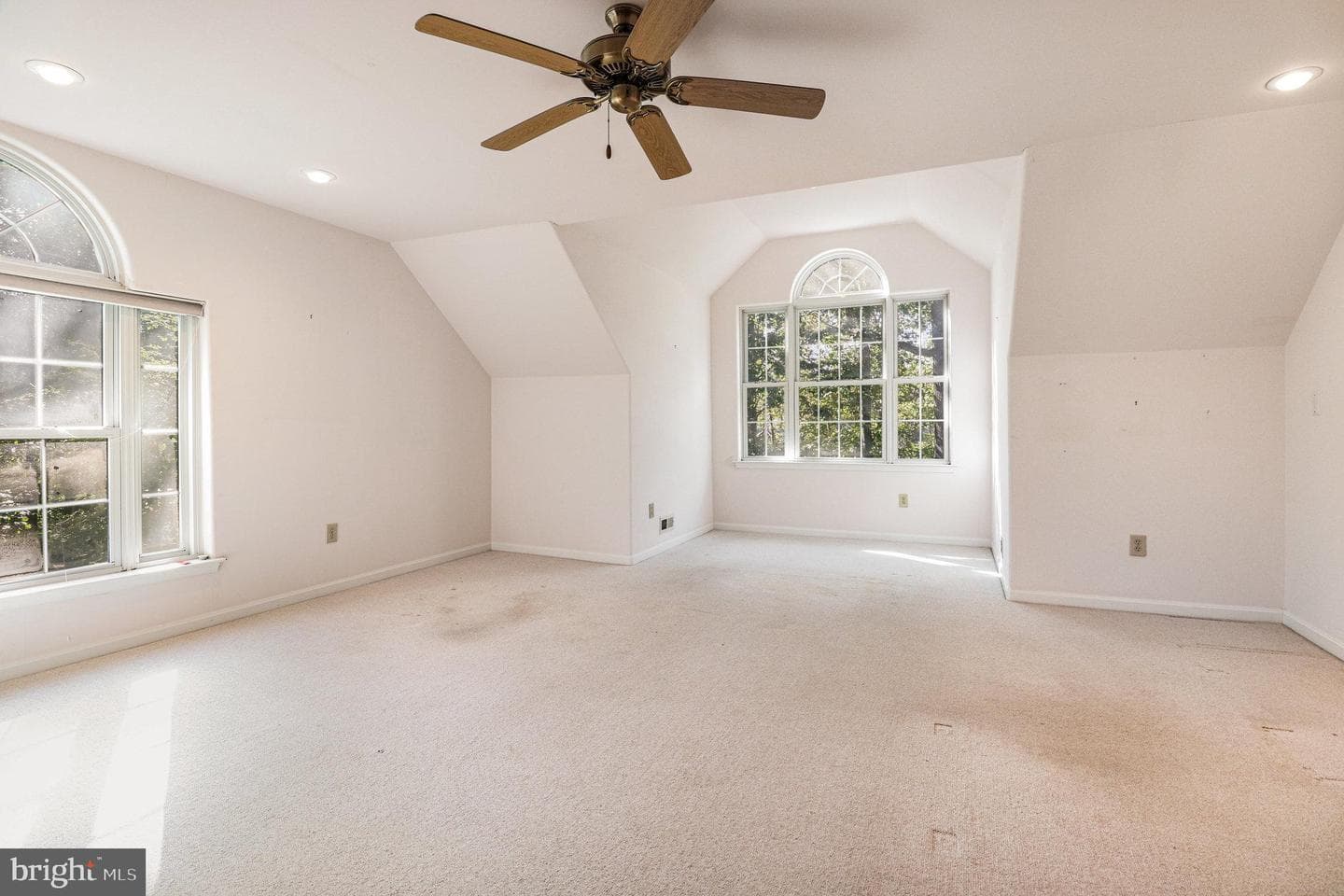 15606 Cedar Tree Ct photo 24