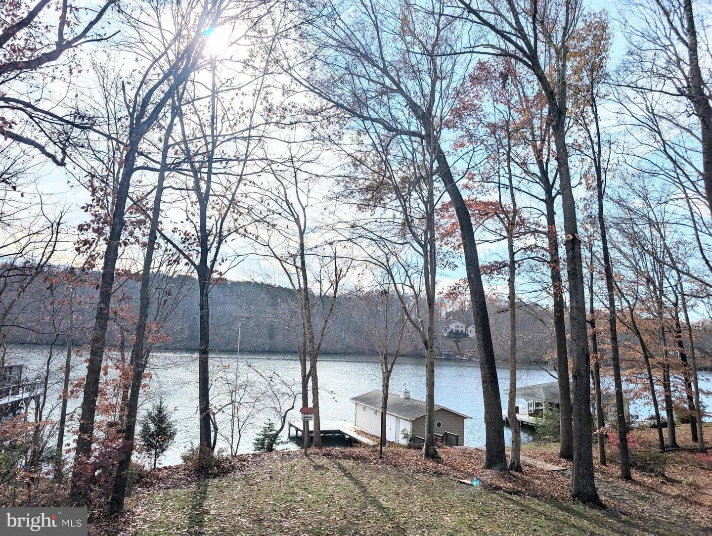 15606 Cedar Tree Ct photo 3