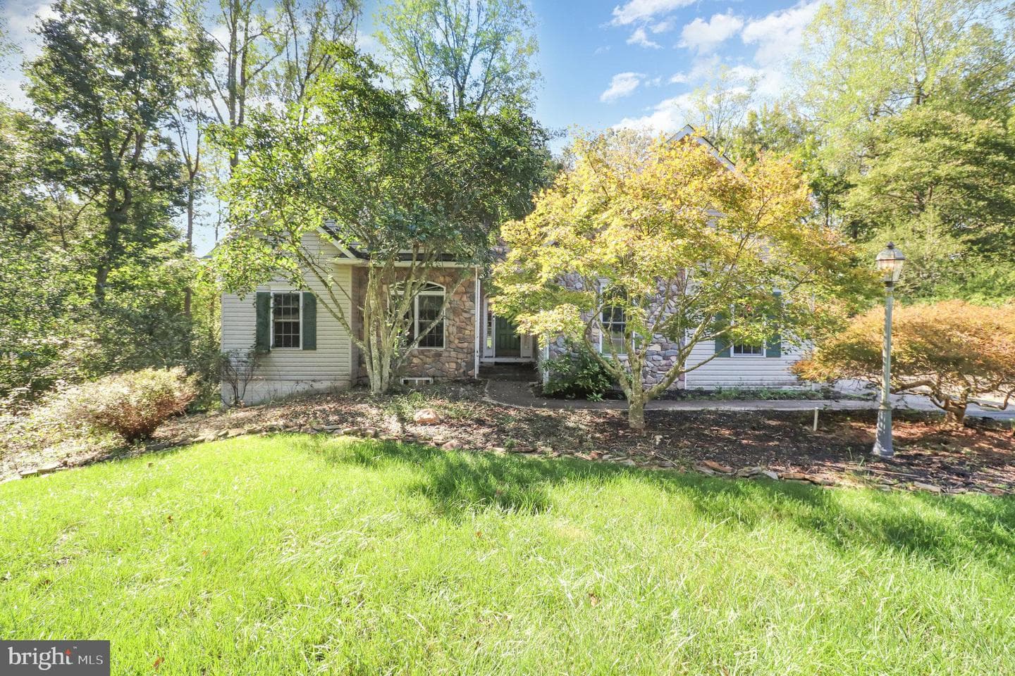 15606 Cedar Tree Ct photo 6