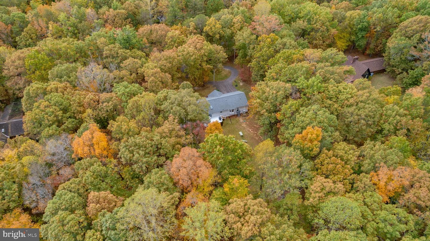 9309 Bellwood Drive photo 82