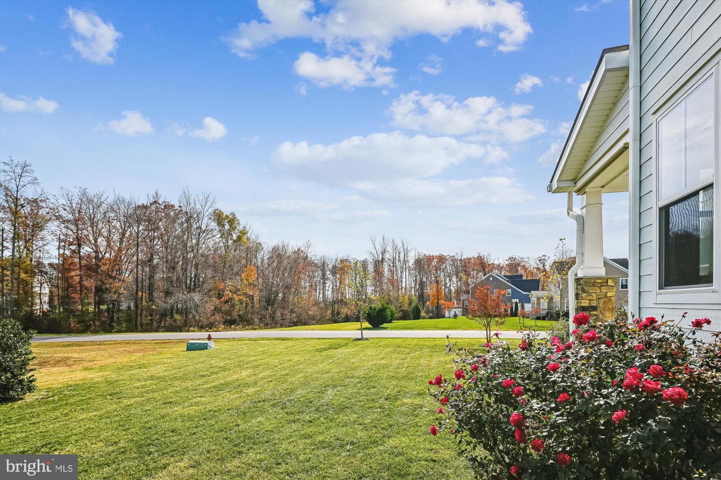 10901 Brandermill Park photo 93