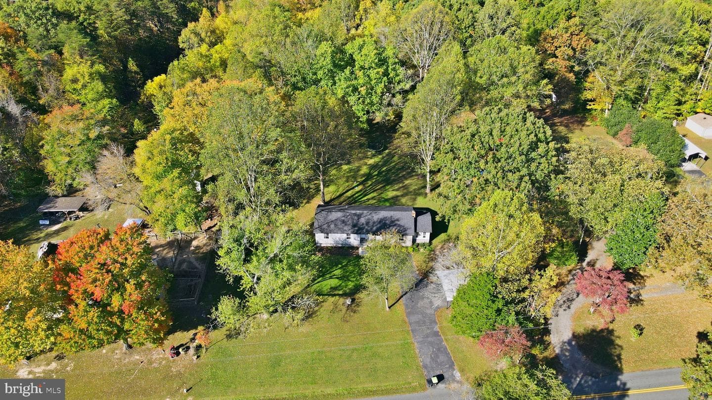 8012 Flippo Drive photo 38