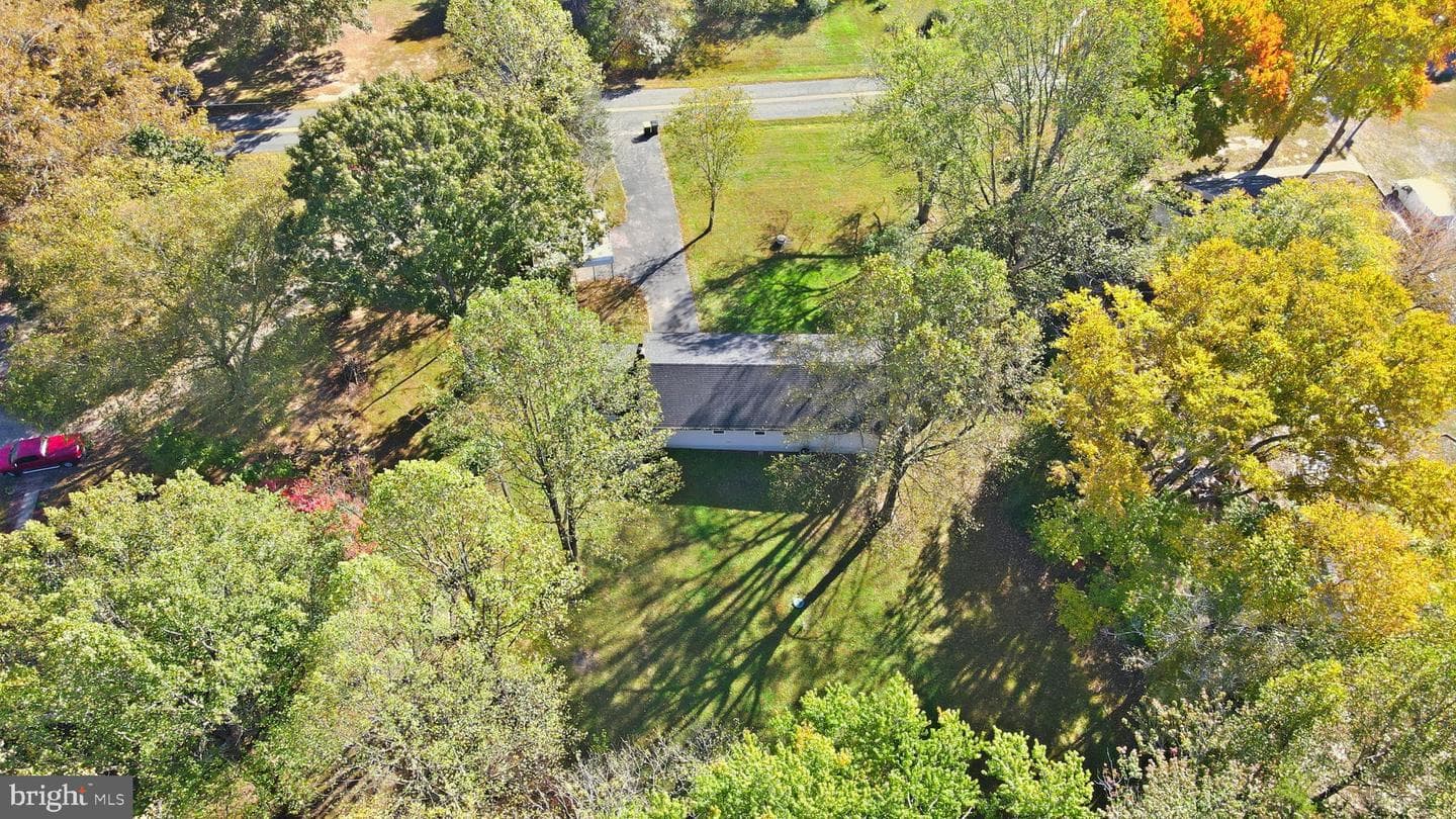 8012 Flippo Drive photo 41