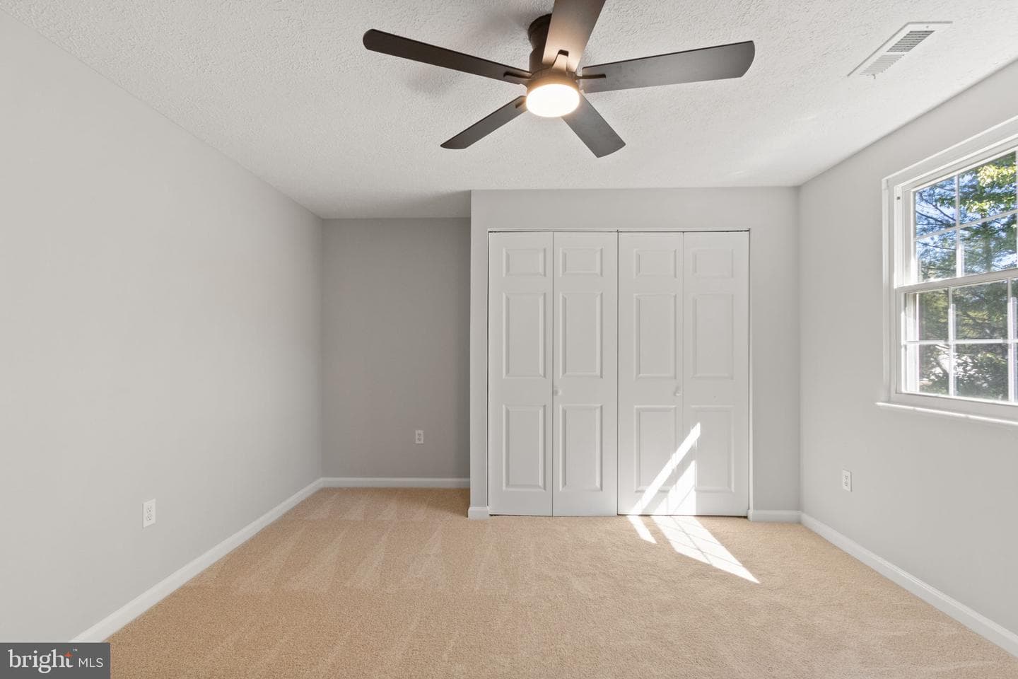 11708 Eisenhower Lane photo 21
